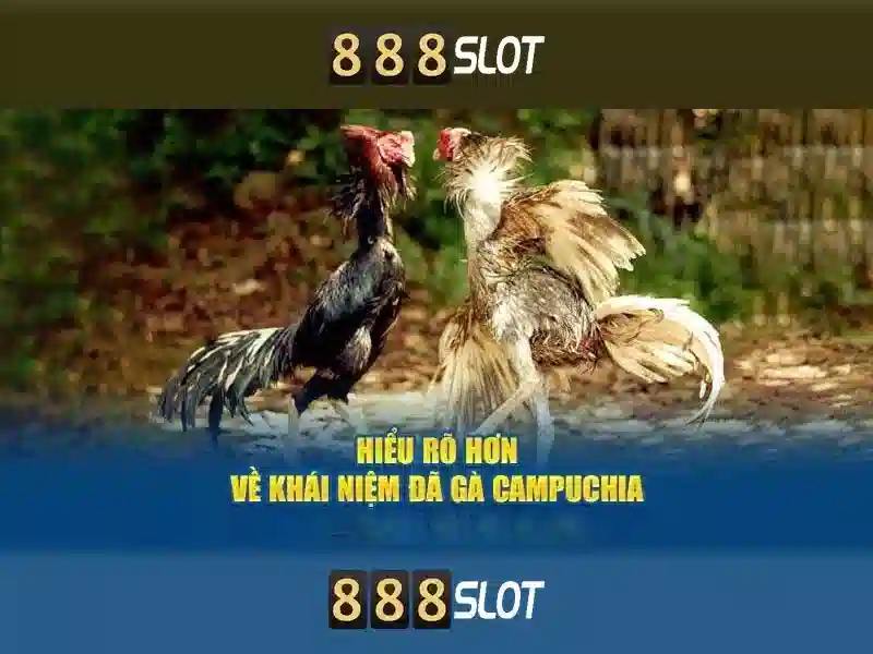 Tải Ứng Dụng 888SLOT