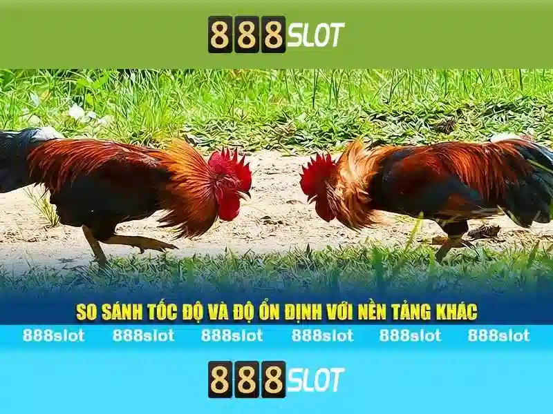 điều kiện 888SLOT