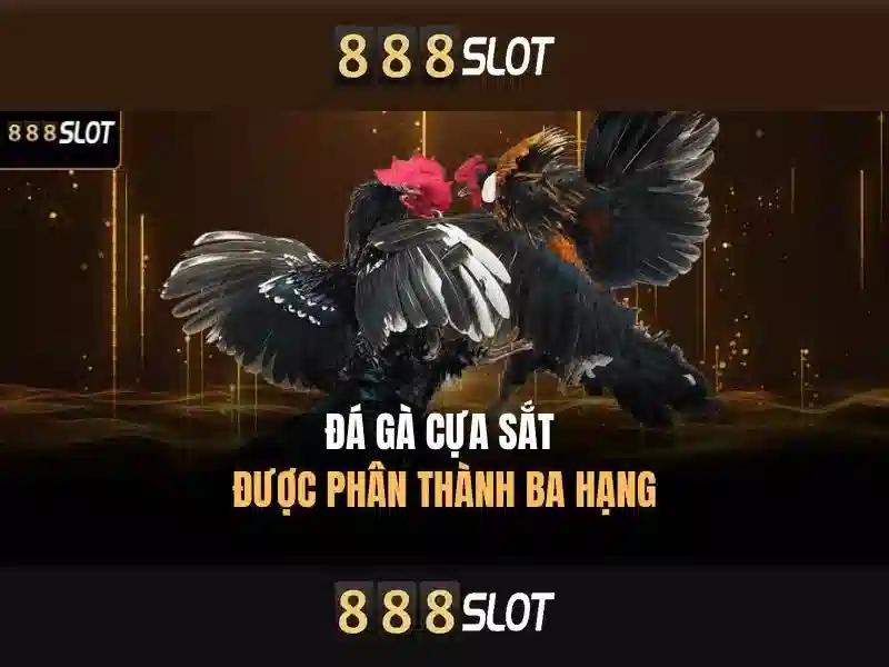 Khuyến Mãi Đặc Biệt 888 slot 89