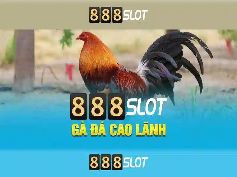 Giới Thiệu Về 888SLOT